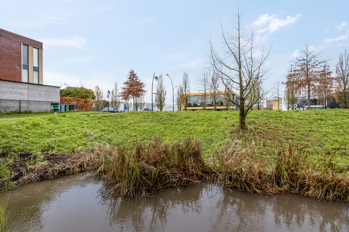 Foto 12 van Aardmansberg 3