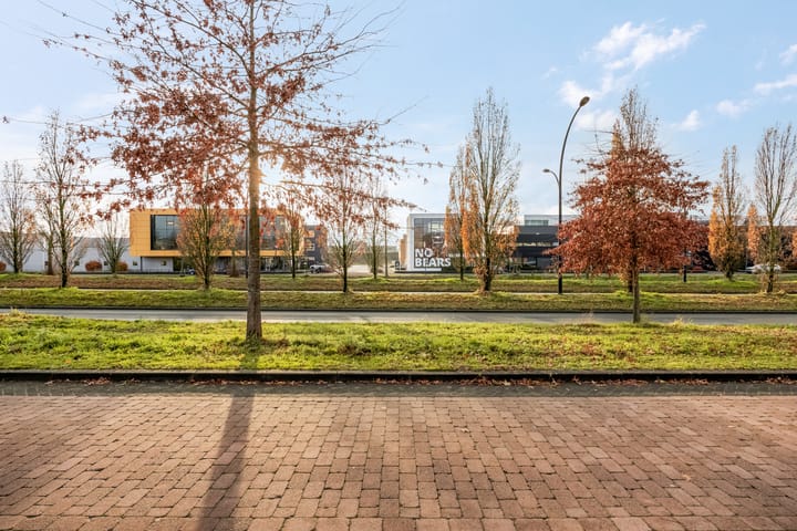 Foto 40 van Aardmansberg 3