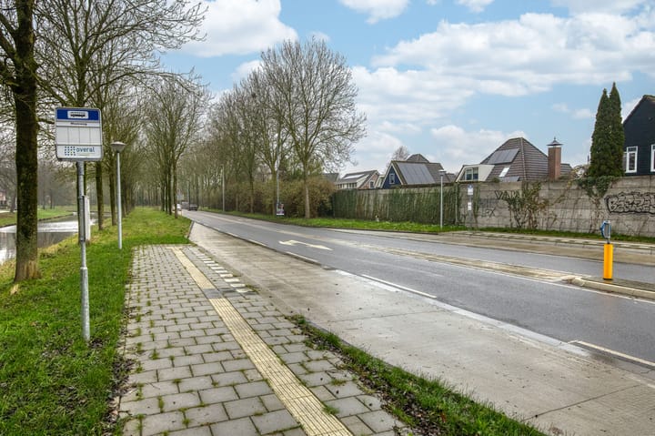 Foto 50 van Nachtegaal 55