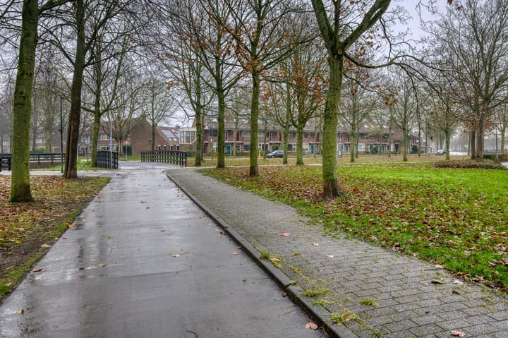 Foto 51 van Nachtegaal 55