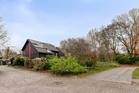 Duizendschoon thumbnail