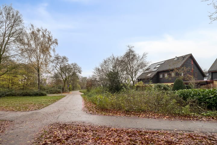 Foto 5 van Duizendschoon 12