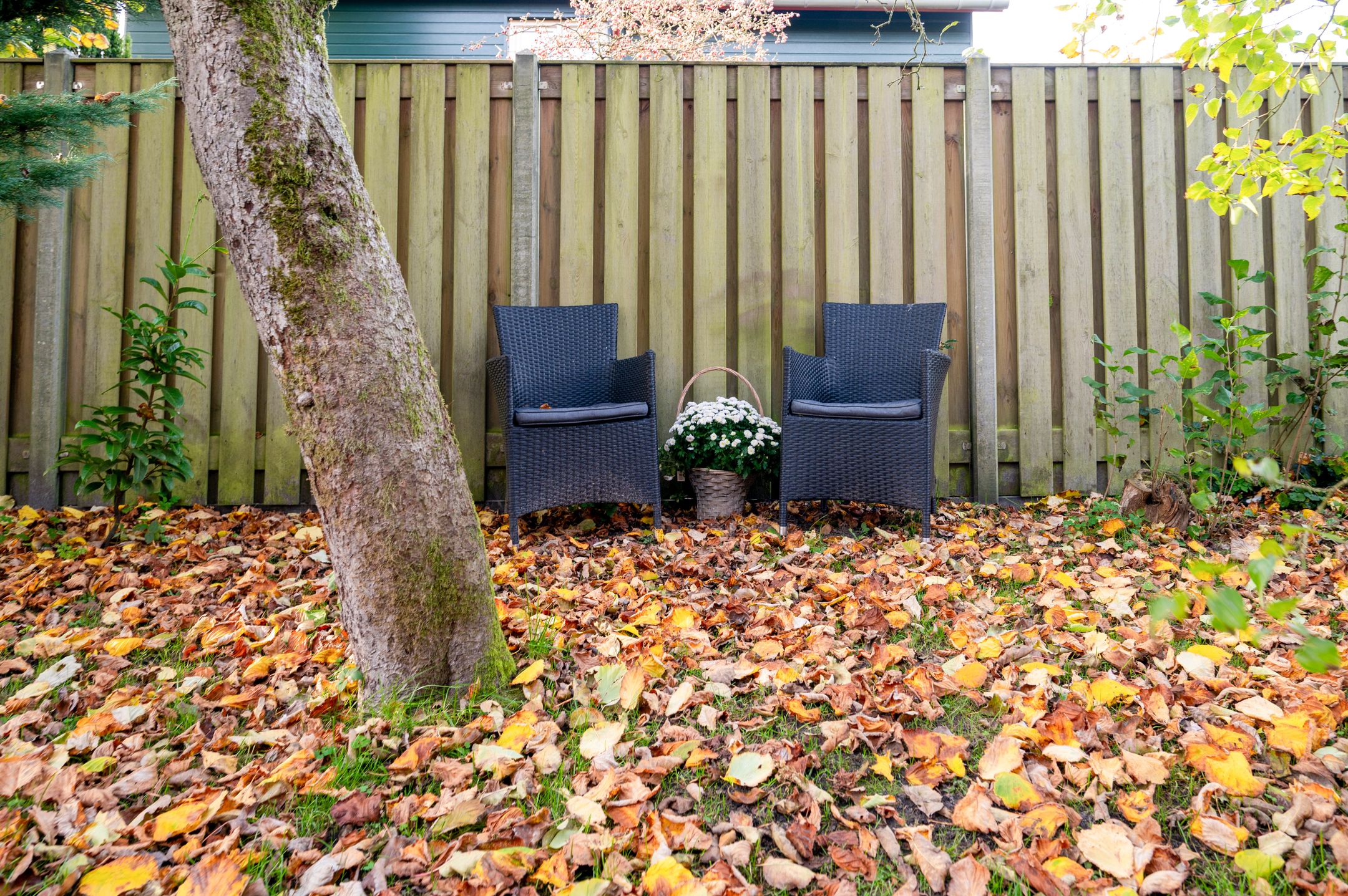 Foto 27 van Aarweg 4