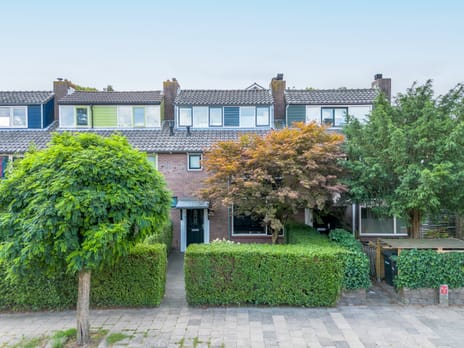 Irisstraat thumbnail