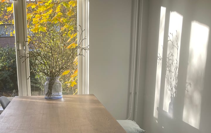 Photo 11 of Anthony Fokkerweg 154