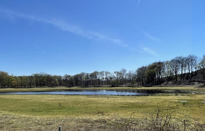 Photo 26 of Anthony Fokkerweg 154