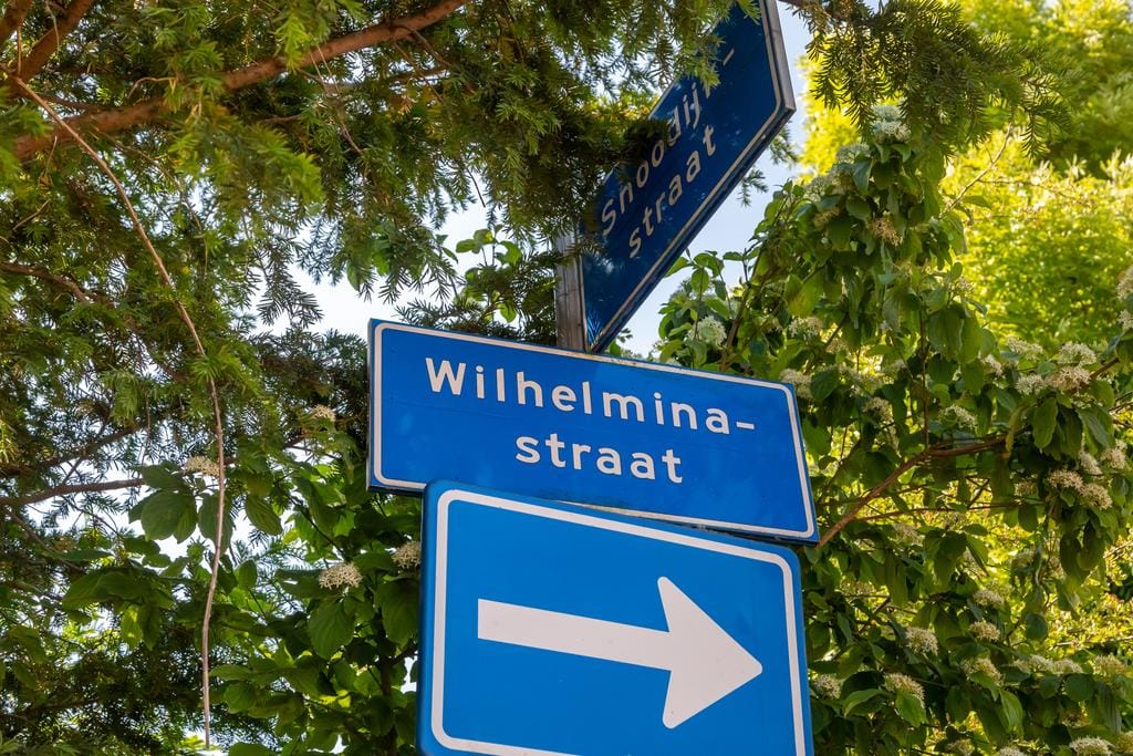 Foto 51 van Wilhelminastraat 26