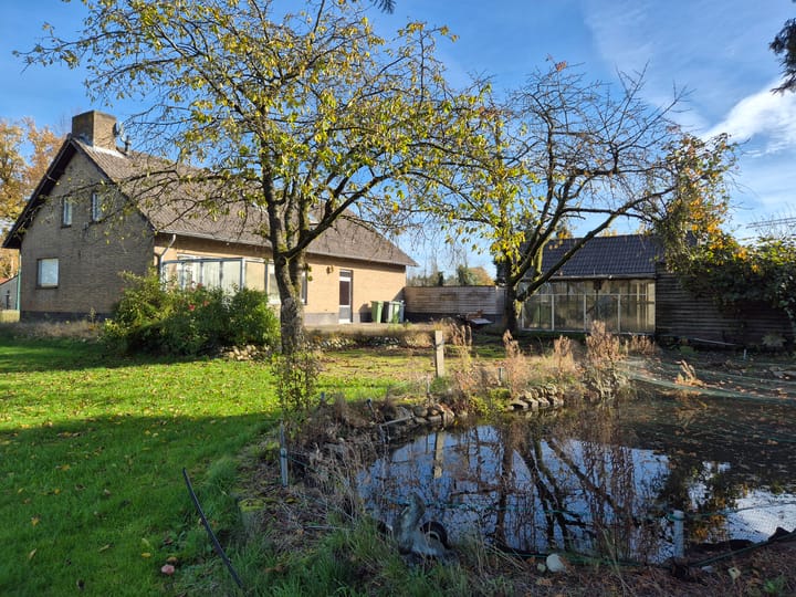 Foto 4 van Hooge Berkt 19-A