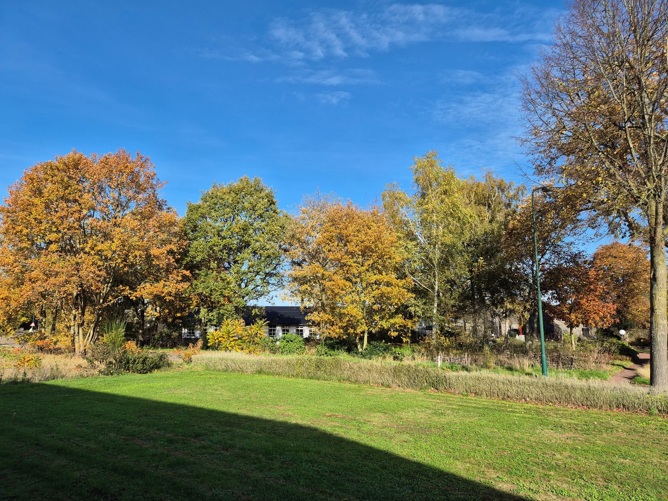 Foto 6 van Hooge Berkt 19-A