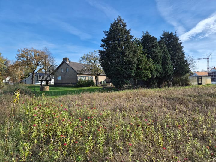 Foto 34 van Hooge Berkt 19-A