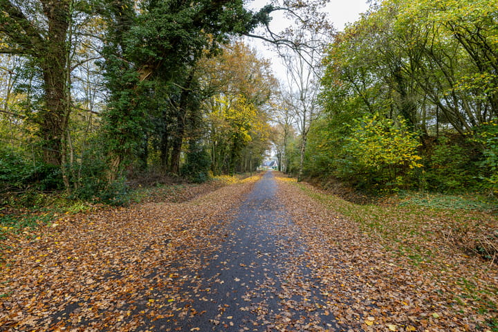 Foto 58 van Taarloseweg 2