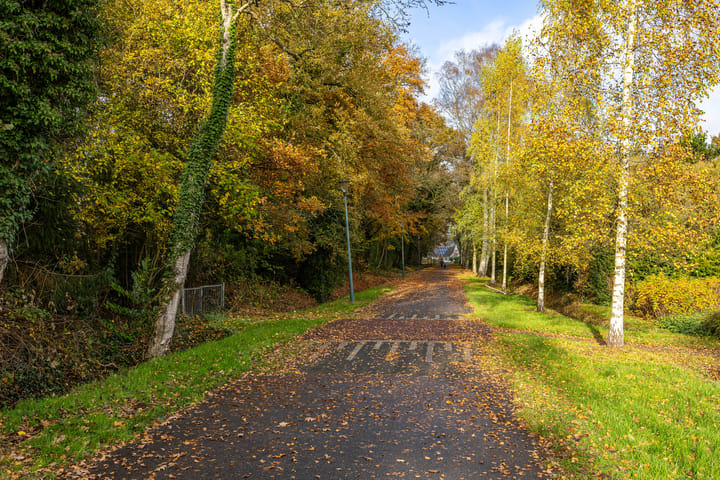 Foto 66 van Taarloseweg 2