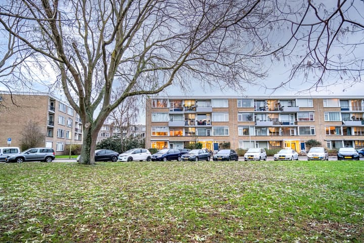 Foto 38 van Paganinidreef 77