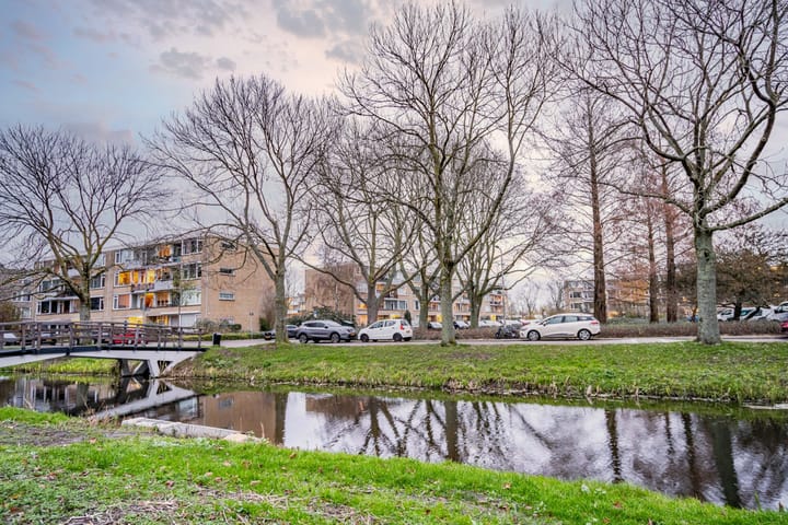 Foto 41 van Paganinidreef 77