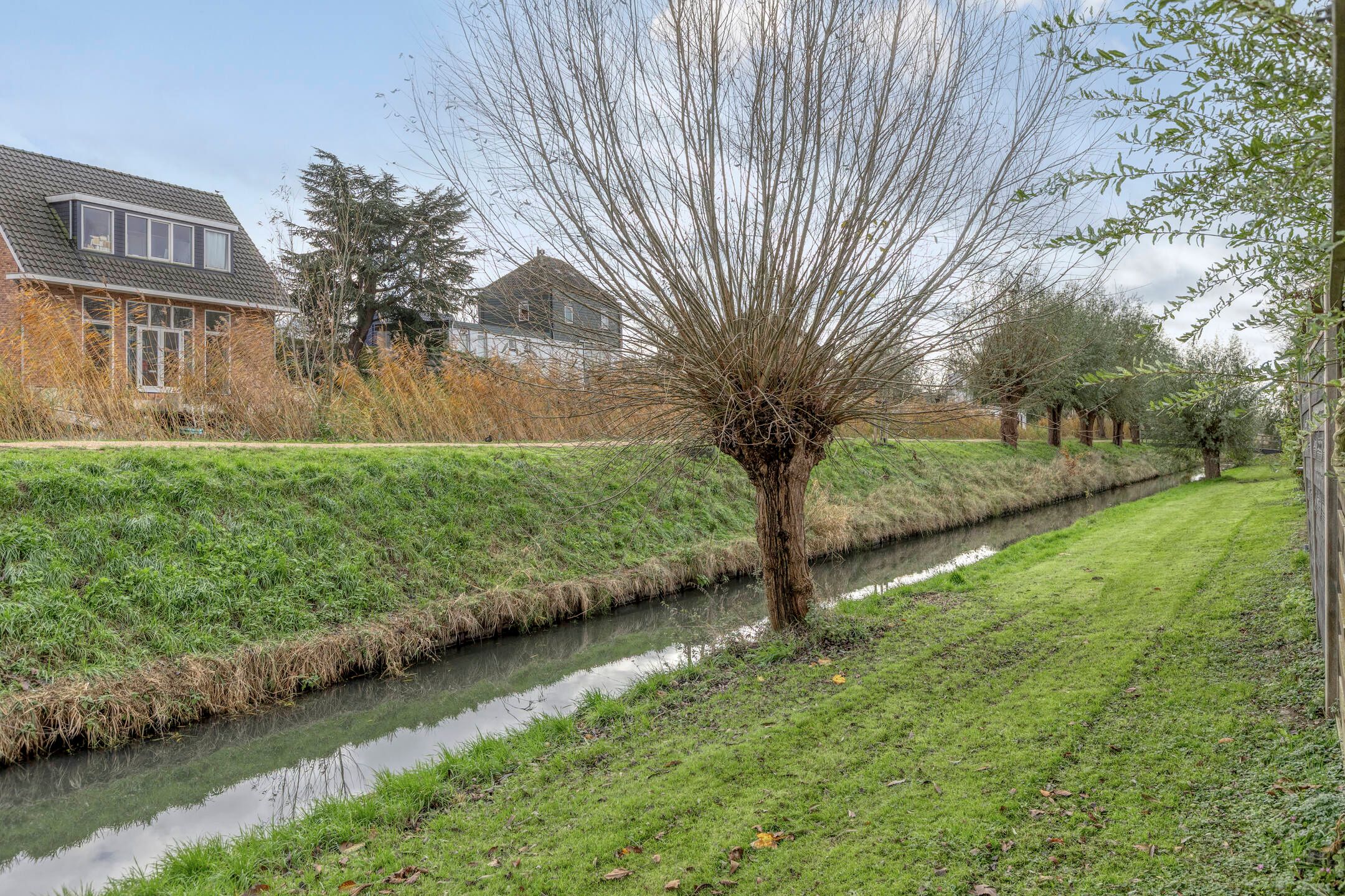 Foto 3 van Andromeda 26