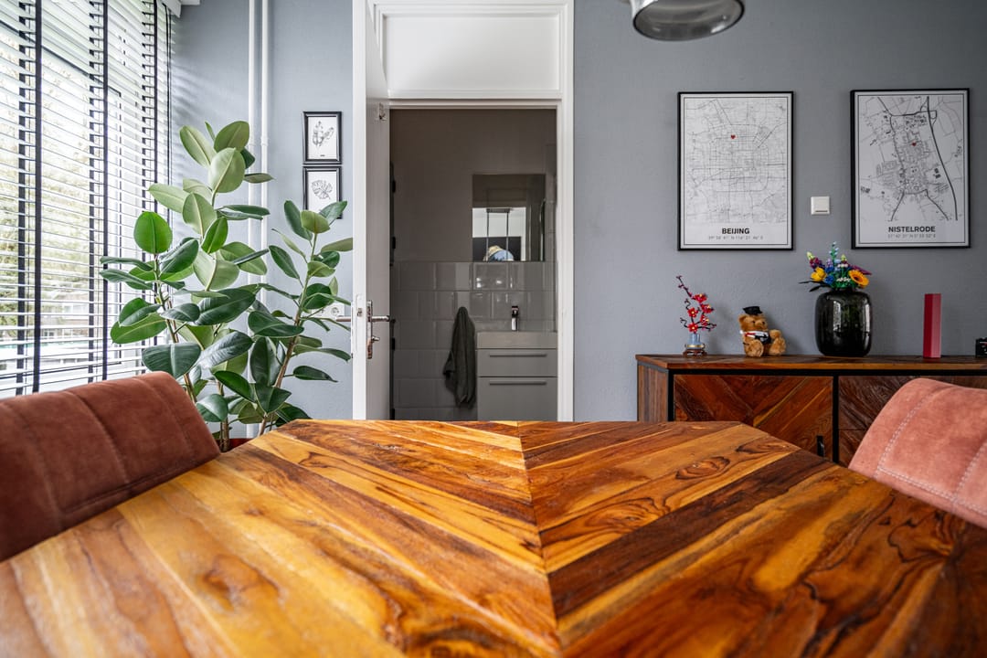 Foto 16 van Govert Flinckplantsoen 19