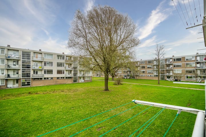 Foto 31 van Govert Flinckplantsoen 19