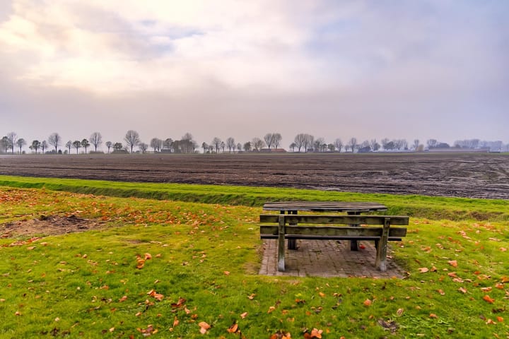 Foto 4 van Tuinbouwstraat 1