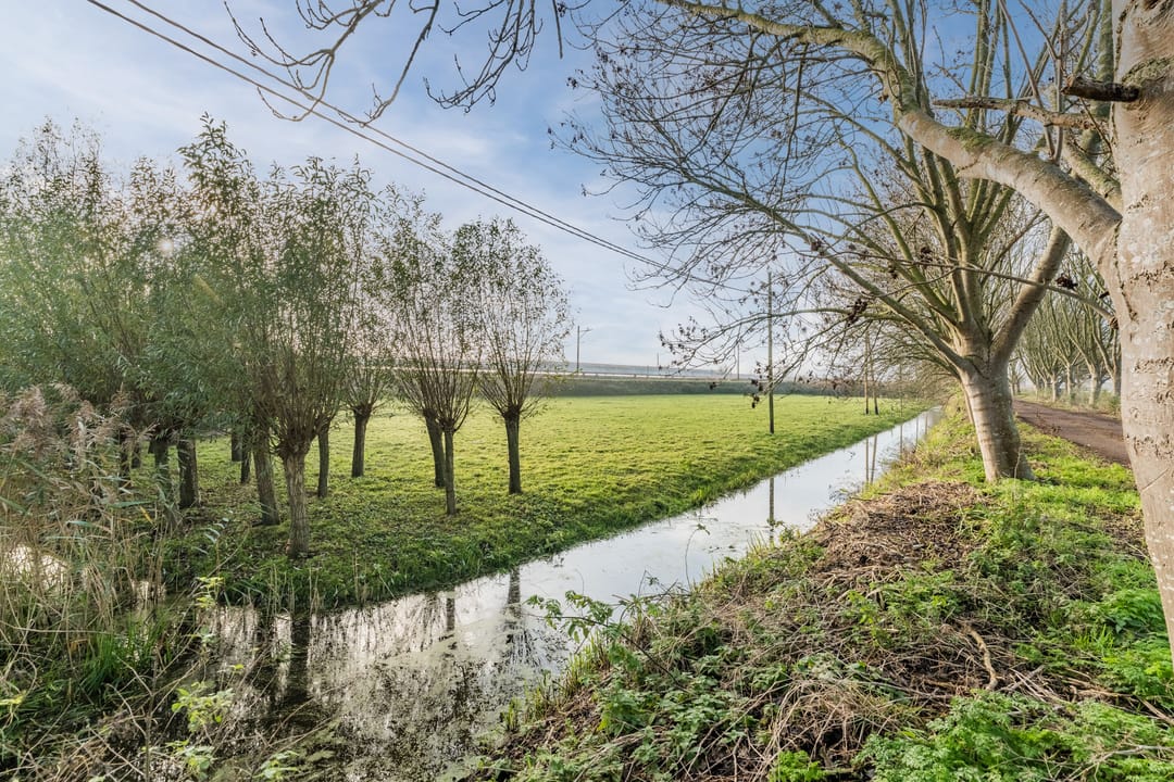 Foto 41 van Noord Ringdijk 14