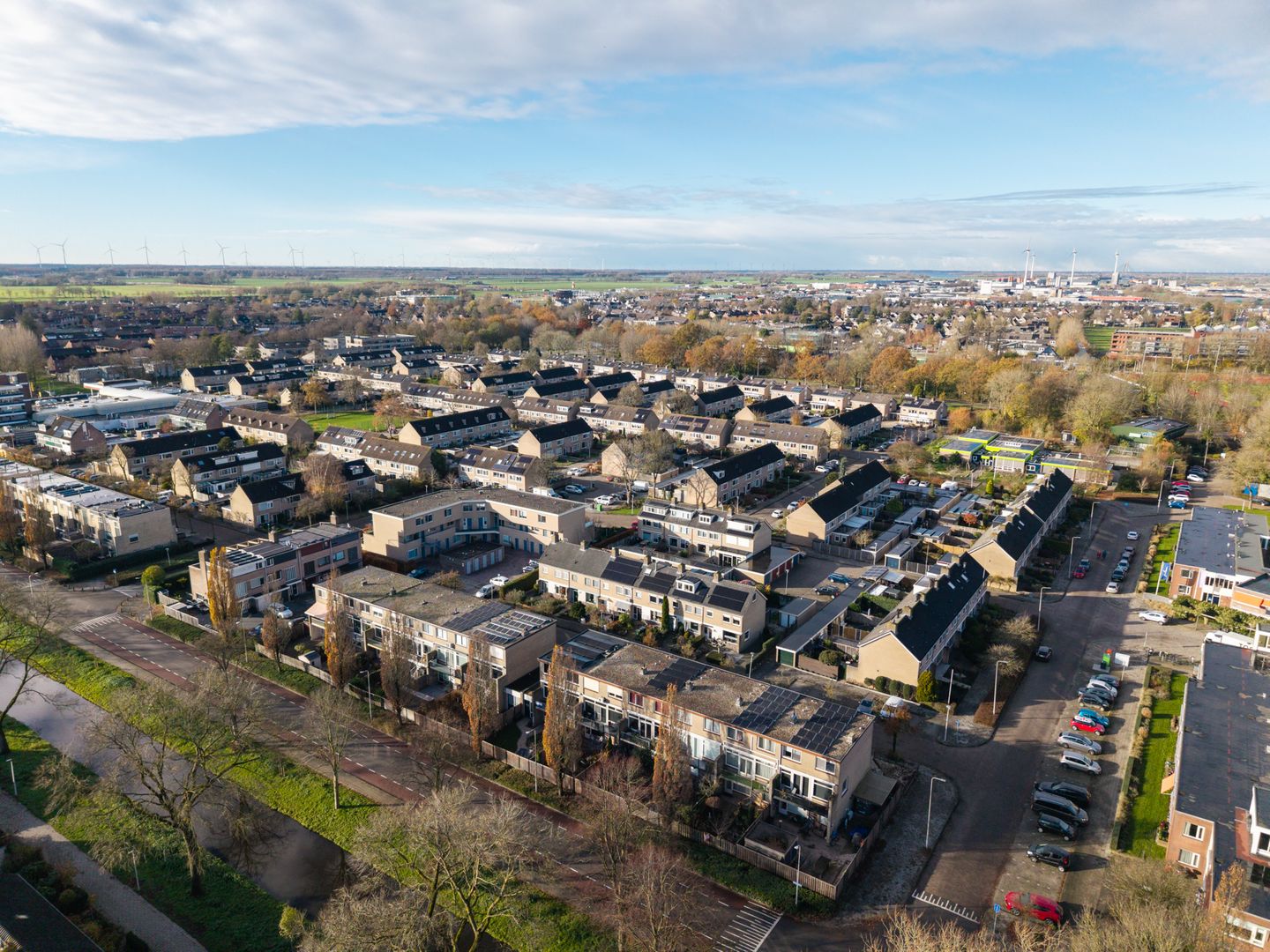 Foto 50 van Lisdodde 22