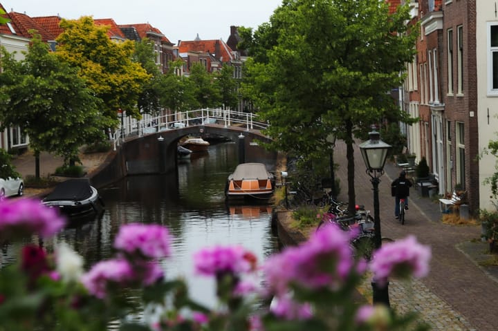 Foto 31 van Hoefstraat 48-A