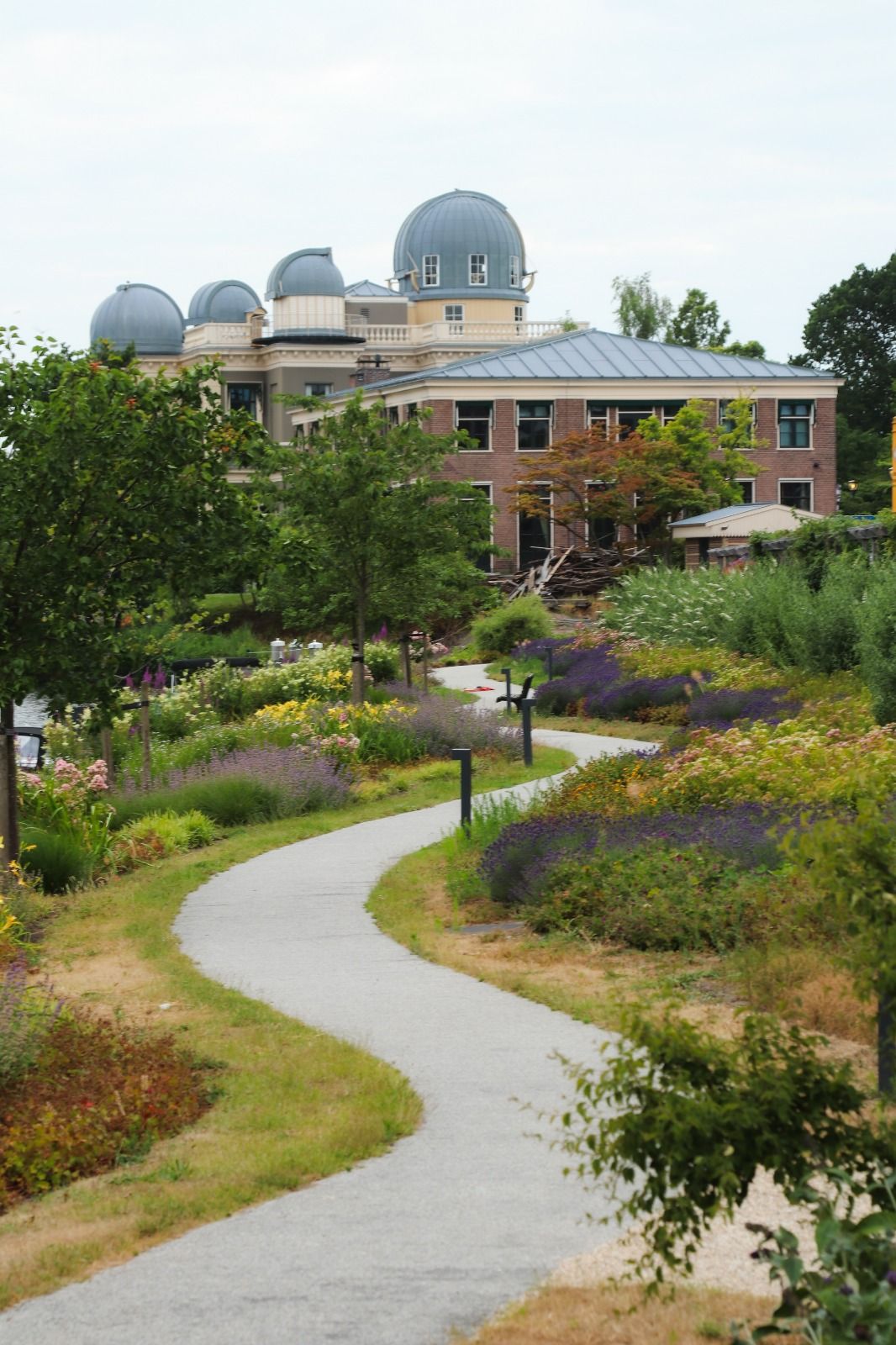 Foto 33 van Hoefstraat 48-A