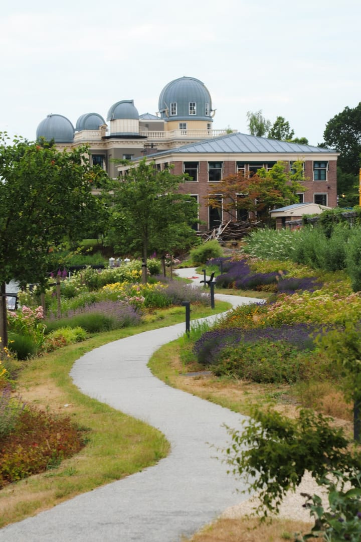 Foto 33 van Hoefstraat 48-A