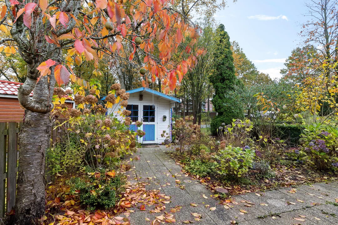 Foto 23 van Laan van de Iemenhees 6