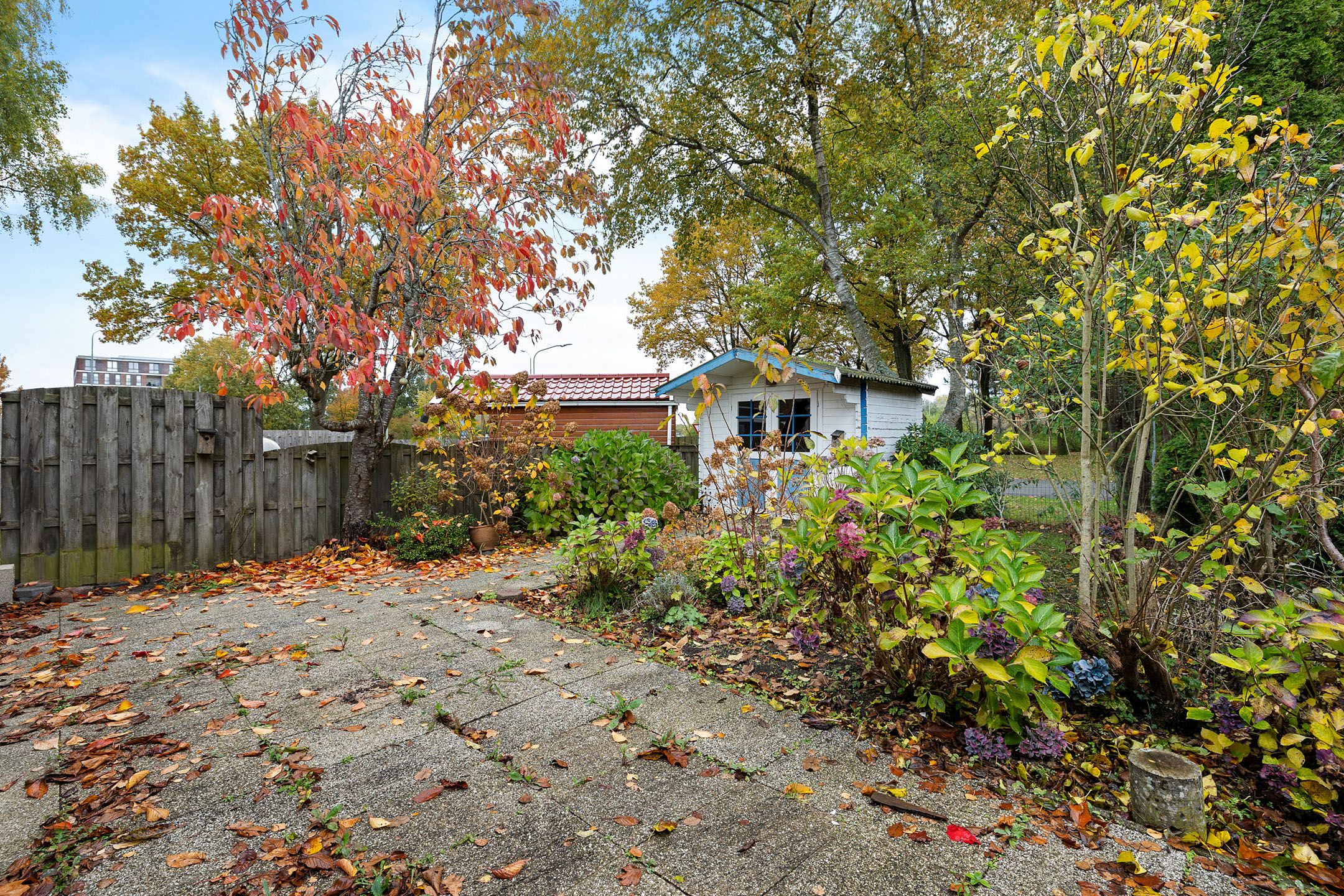 Foto 27 van Laan van de Iemenhees 6