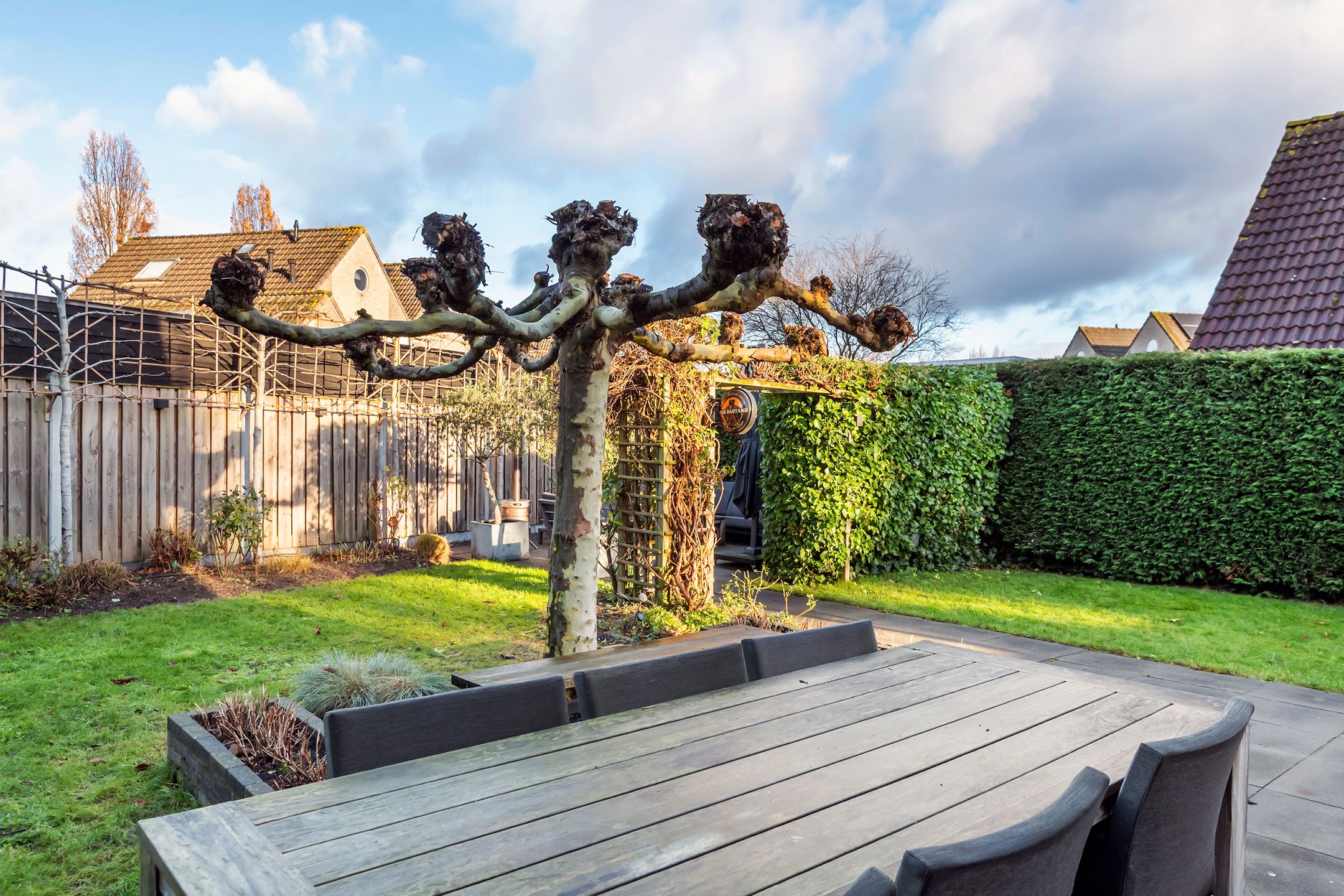 Foto 12 van Iepenlaan 7