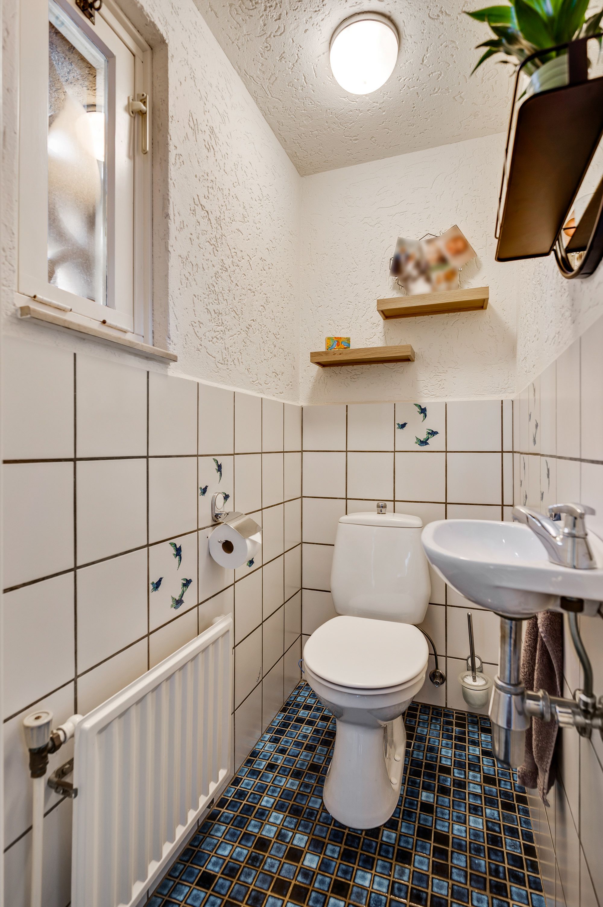 Foto 9 van Lemmenhoek 23