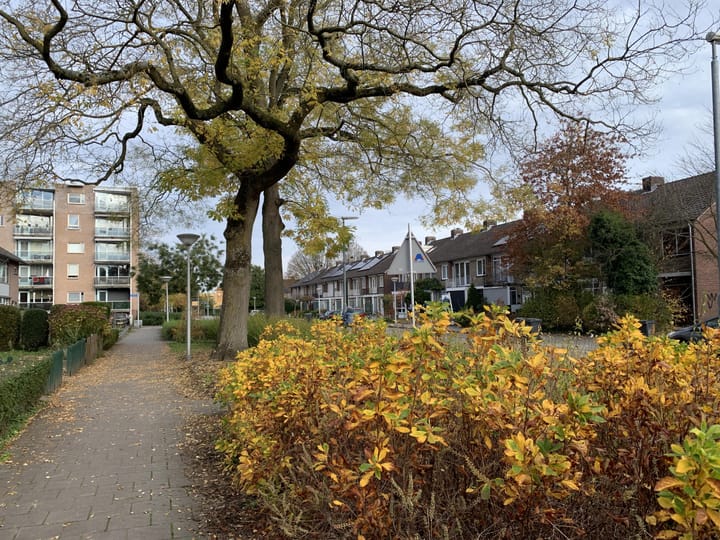 Foto 16 van Muzenlaan 101