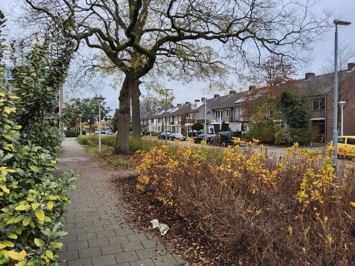 Foto 18 van Muzenlaan 101