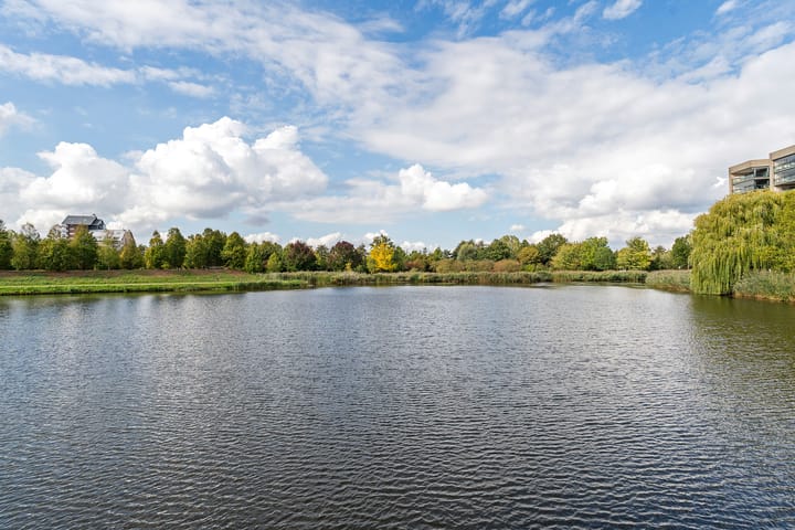 Foto 50 van Heegermeer 17