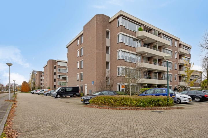 Foto 23 van Zaaier 96