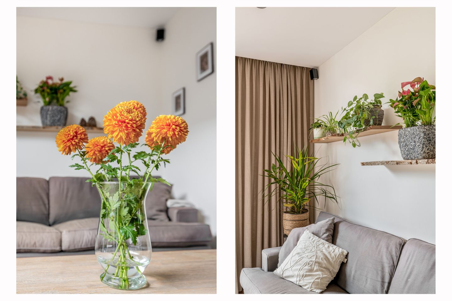 Foto 14 van Professor Holwerdalaan 73