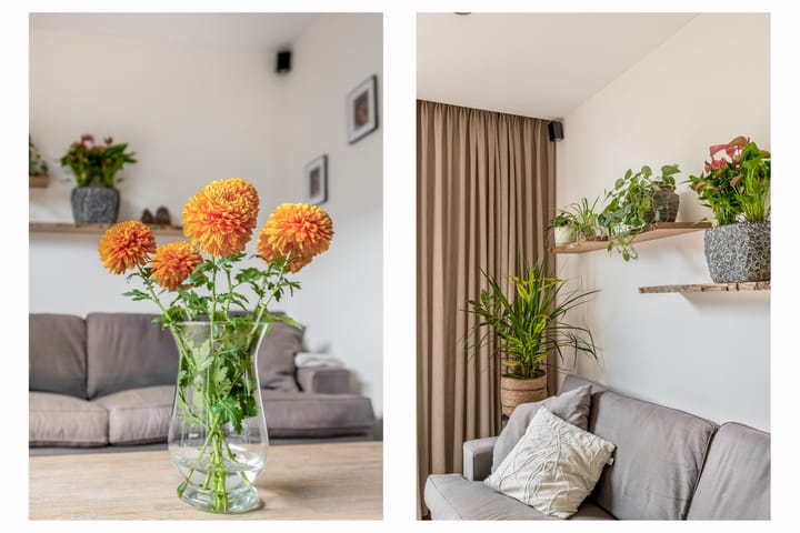 Foto 14 van Professor Holwerdalaan 73