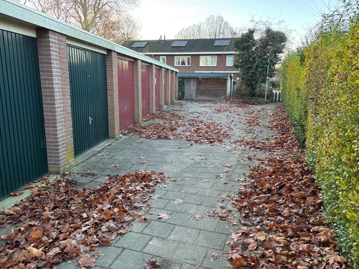 Foto 2 van Cort van der Lindenstraat