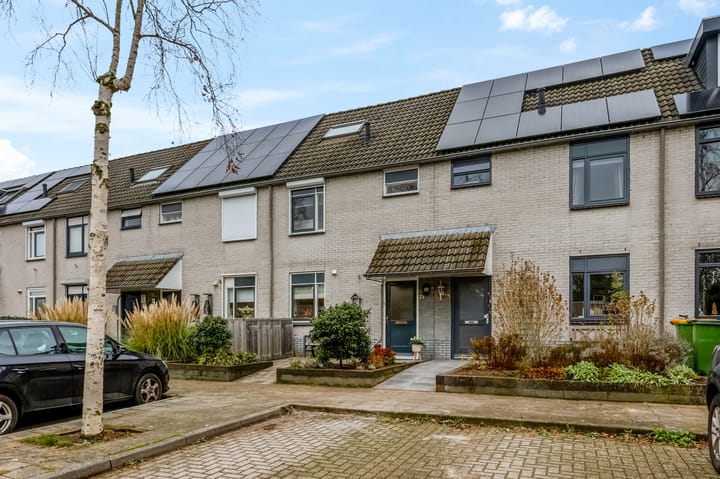 Foto 29 van Pienemanstraat 71