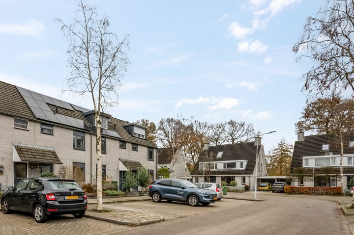 Foto 30 van Pienemanstraat 71