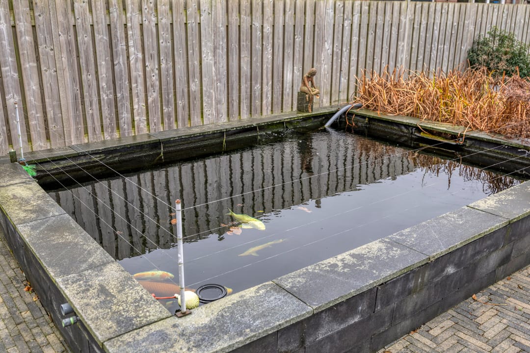 Foto 83 van 't Achterom 5