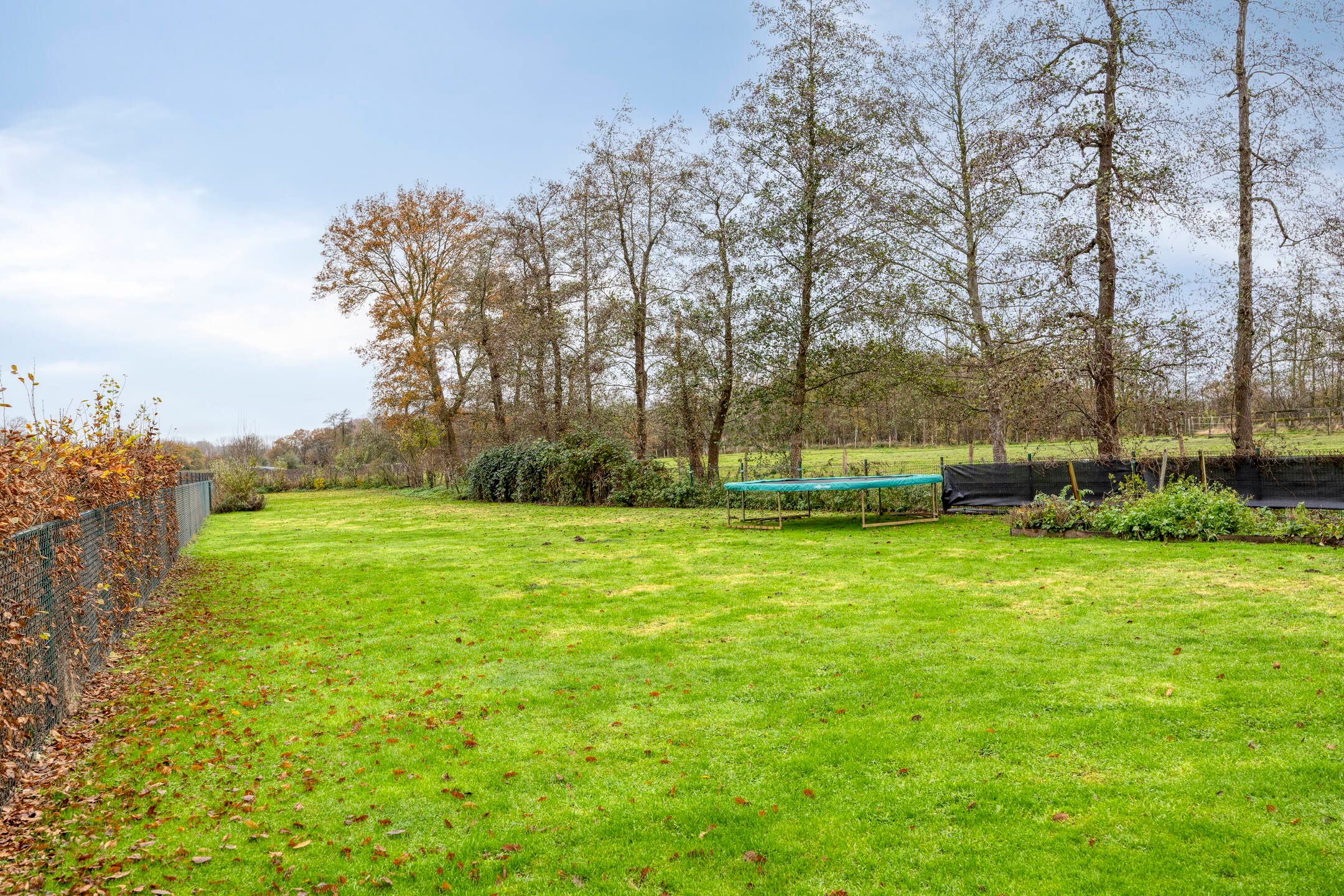 Foto 87 van 't Achterom 5