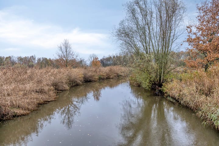 Photo 110 of 't Achterom 5