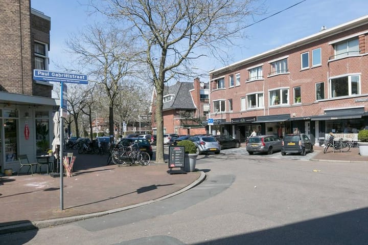 Foto 48 van Paul Gabriëlstraat 47