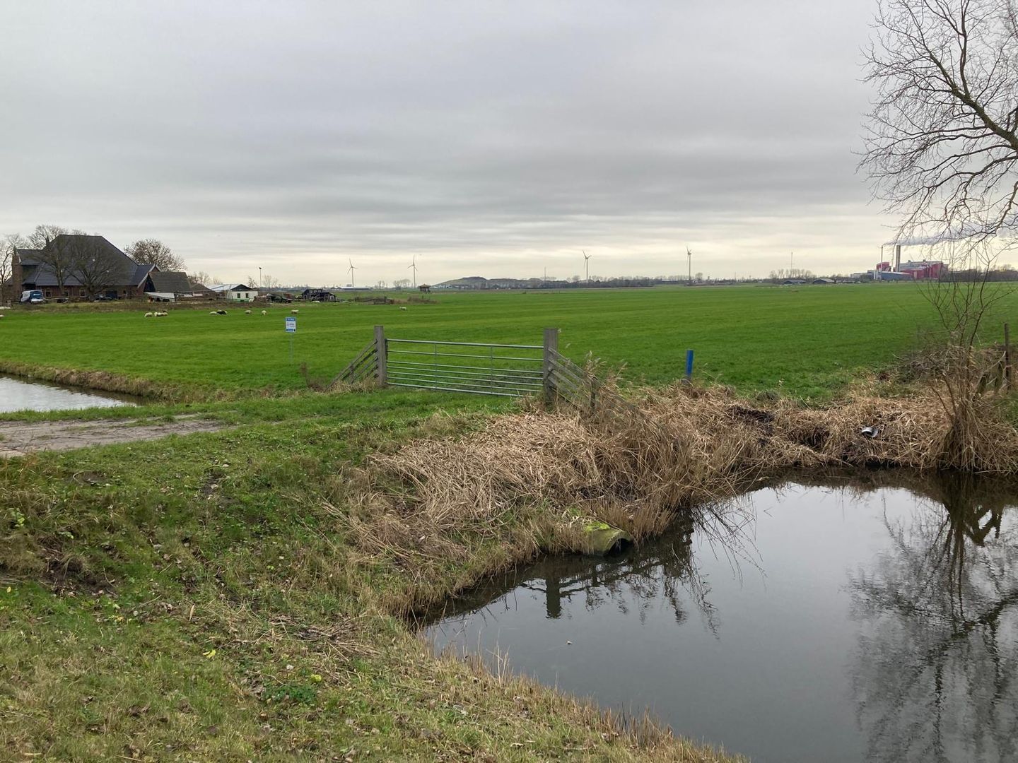 Bekijk foto 3 van Zuidervaart