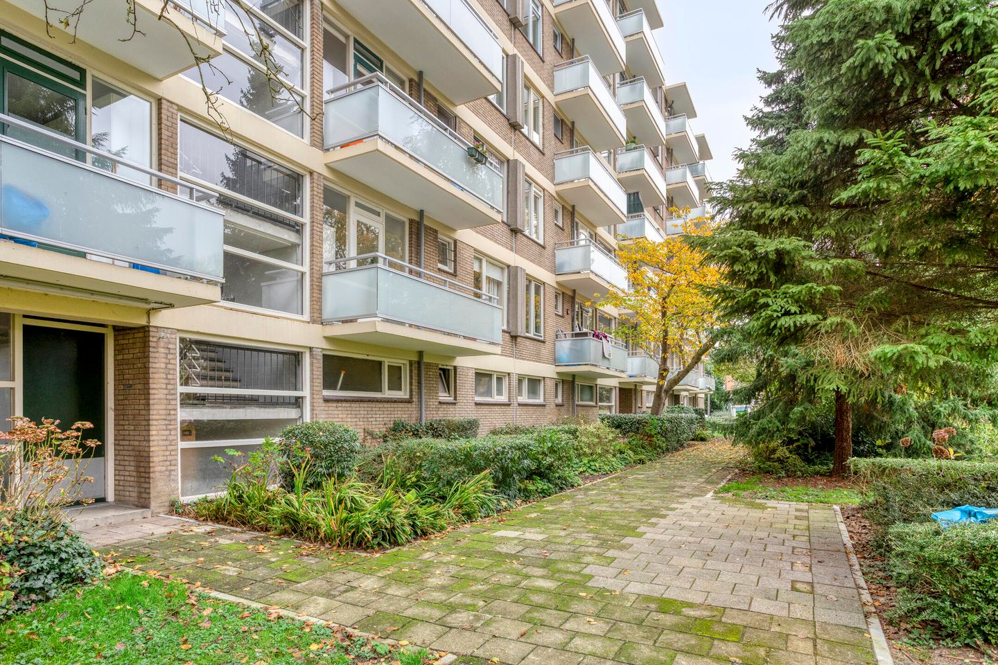 Photo 29 of Van der Helmstraat 404