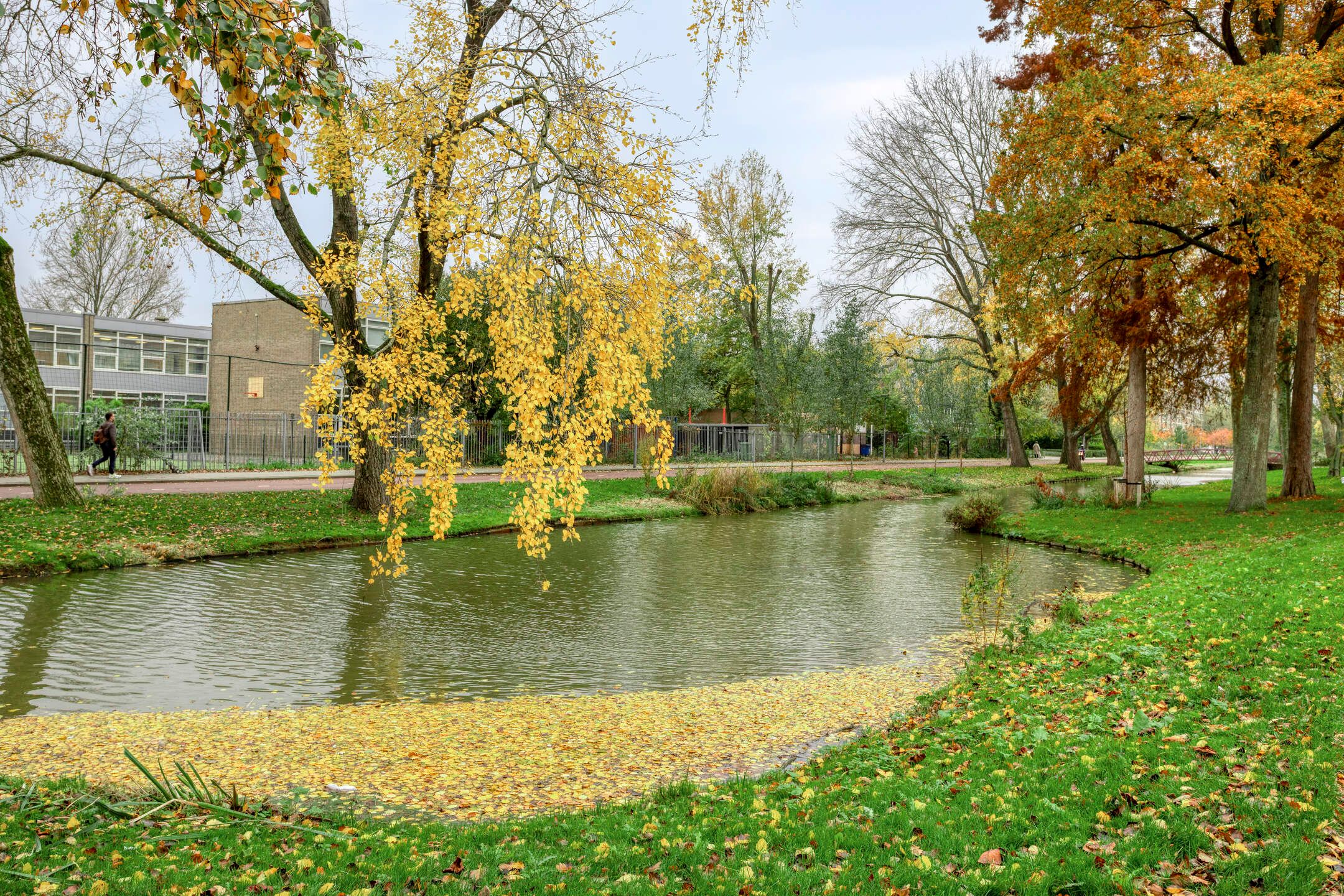 Photo 30 of Van der Helmstraat 404