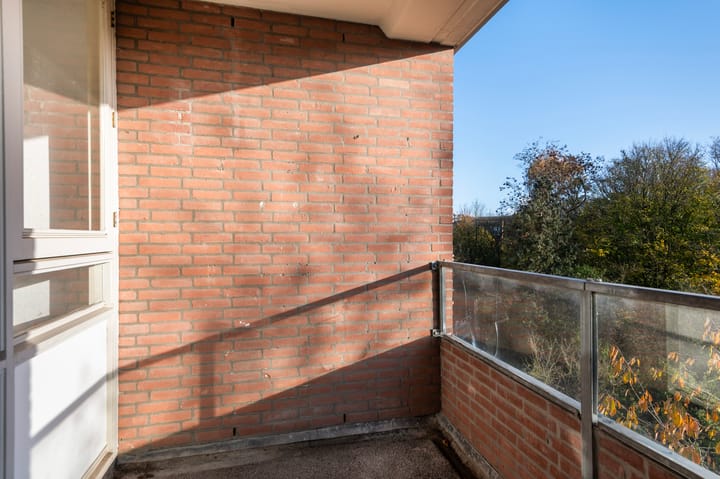 Foto 12 van Leerdamhof 244