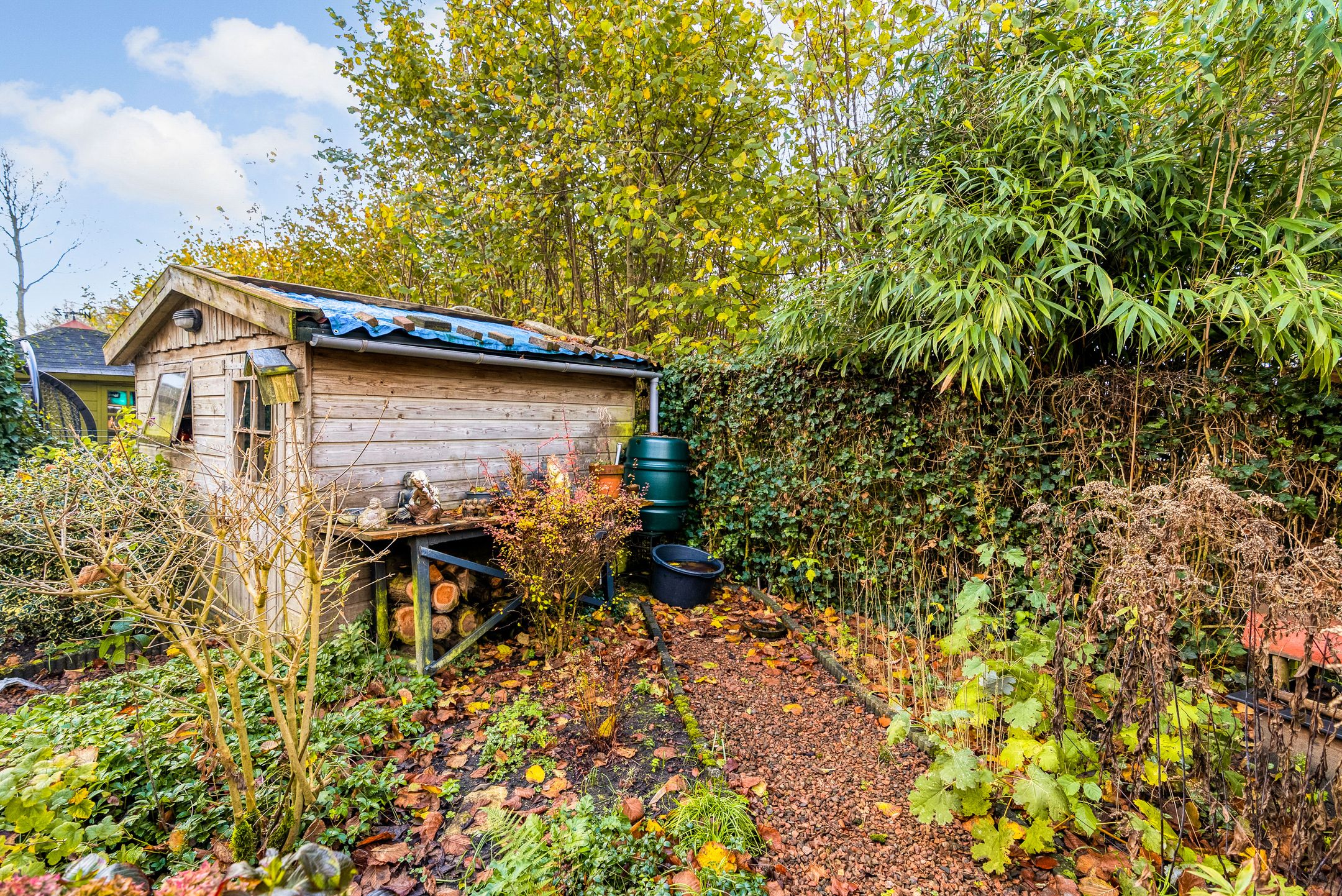 Foto 54 van Vergeet-mij-nietjestraat 32