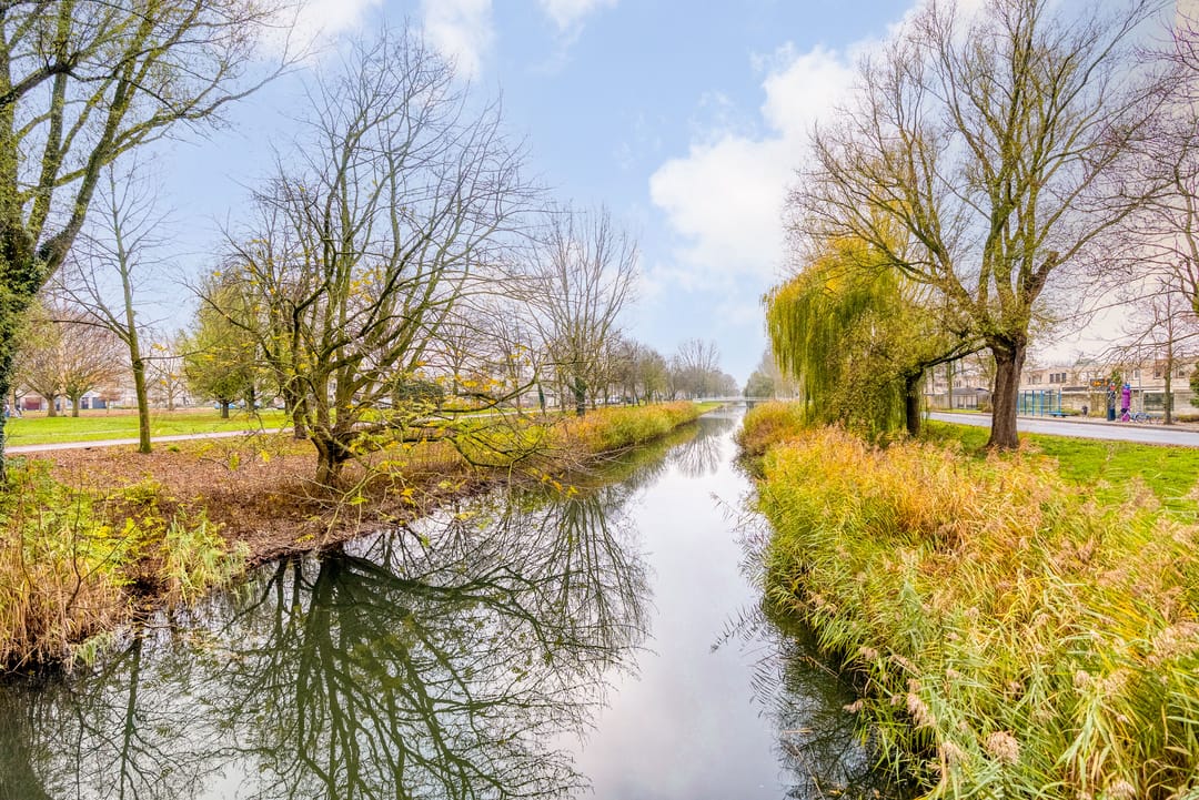 Foto 67 van Vergeet-mij-nietjestraat 32